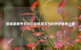 膝盖健康养生知识视频,膝关节的养护健康之路