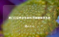 澳门公证网全年资料,特朗普版宣布胜选65.97.45