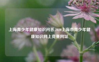 上海青少年健康知识问答,2020上海市青少年健康知识网上竞赛网址