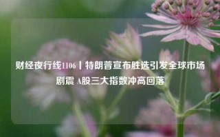 财经夜行线1106丨特朗普宣布胜选引发全球市场剧震 A股三大指数冲高回落