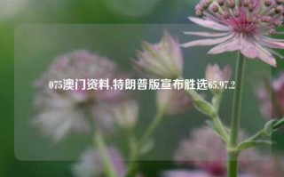 075澳门资料,特朗普版宣布胜选65.97.2