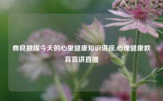 彝良融媒今天的心里健康知识讲座,心理健康教育宣讲直播