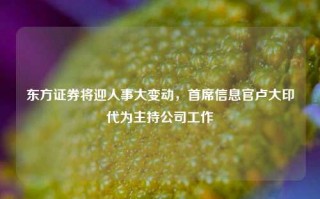 东方证券将迎人事大变动，首席信息官卢大印代为主持公司工作