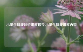 小学生健康知识讲座报导,小学生健康讲座内容