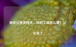 明年公休多两天，加班工资怎么算？公式来了