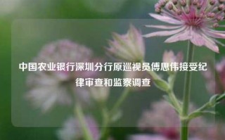 中国农业银行深圳分行原巡视员傅思伟接受纪律审查和监察调查