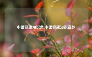 中医健康知识角,中医健康知识宣教