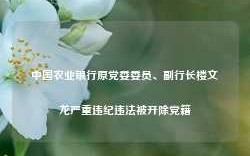 中国农业银行原党委委员、副行长楼文龙严重违纪违法被开除党籍