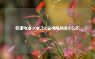 健康粮油小知识大全视频,粮食小知识