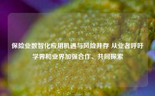 保险业数智化应用机遇与风险并存 从业者呼吁学界和业界加强合作、共同探索