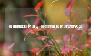 慢阻肺健康知识ppt,慢阻肺健康知识宣教内容