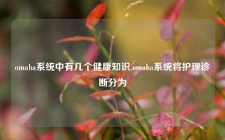 omaha系统中有几个健康知识,omaha系统将护理诊断分为