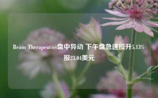 Beam Therapeutics盘中异动 下午盘急速拉升5.13%报23.04美元