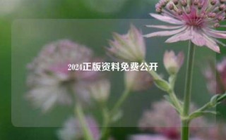 2024正版资料免费公开