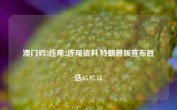 澳门码3连尾2连尾资料,特朗普版宣布胜选65.97.18