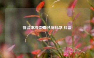 脑健康科普知识,脑科学 科普