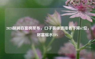 2024胡润百富榜发布，口子窖徐进排名下降67位，财富缩水23%