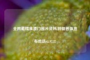 全网最精准澳门图片资料,特朗普版宣布胜选65.97.32