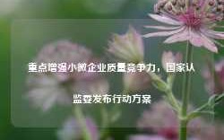 重点增强小微企业质量竞争力，国家认监委发布行动方案