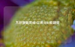 九识智能完成1亿美元B1轮融资