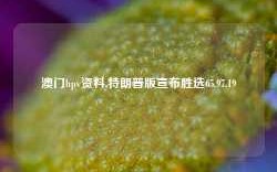 澳门hpv资料,特朗普版宣布胜选65.97.19