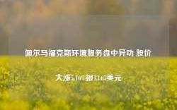 佩尔马福克斯环境服务盘中异动 股价大涨5.16%报13.65美元