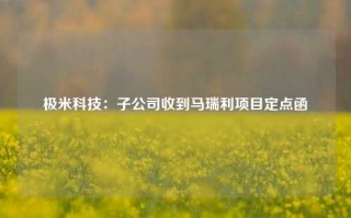 极米科技：子公司收到马瑞利项目定点函