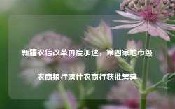 新疆农信改革再度加速，第四家地市级农商银行喀什农商行获批筹建