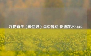 万物新生（爱回收）盘中异动 快速跳水5.08%