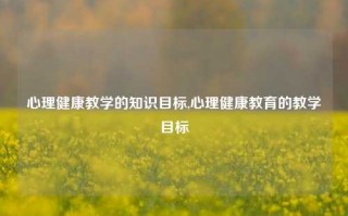 心理健康教学的知识目标,心理健康教育的教学目标