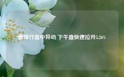 震坤行盘中异动 下午盘快速拉升5.26%