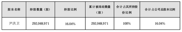 大股东持股遭八次轮候冻结，岭南股份流动性危机何解-第1张图片-健康网