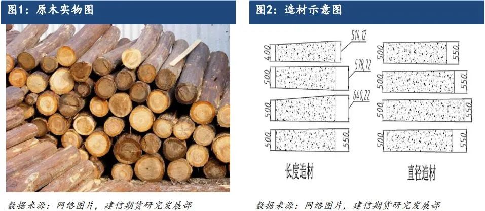 原木期货上市系列专题一：原木基础知识及产业链格局-第2张图片-健康网