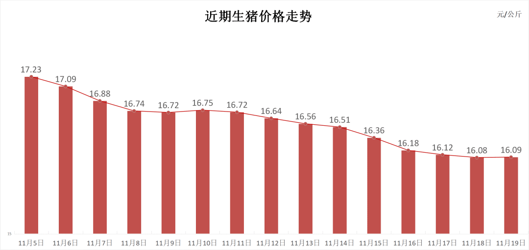 每日猪讯11.19-第3张图片-健康网