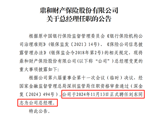 “国寿系”刘东掌舵 鼎和财险能否转危为安？-第1张图片-健康网