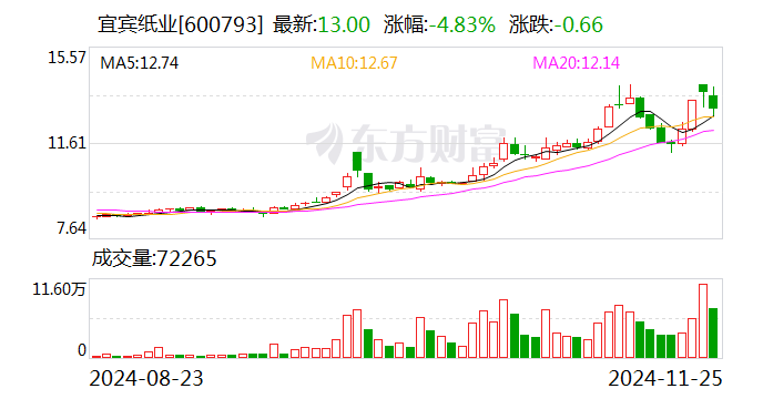 宜宾纸业：子公司拟投建两项目 项目总投资合计5.4亿元-第1张图片-健康网