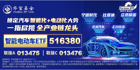 重磅！欧盟或取消电动汽车关税？智能电动车ETF（516380）盘中涨逾2.5%，机构：板块面临三大特征，五个变化-第5张图片-健康网