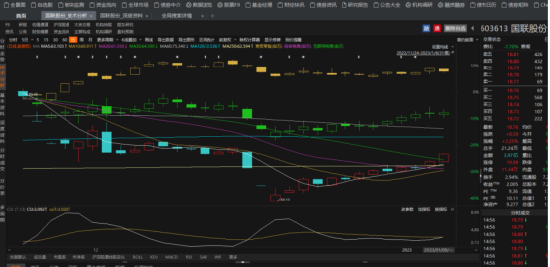 国联股份索赔条件明确！-第2张图片-健康网