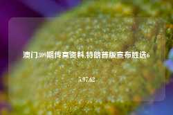 澳门309期传真资料,特朗普版宣布胜选65.97.62-第1张图片-健康网