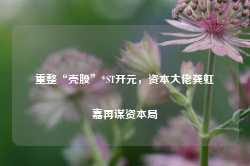 重整“壳股”*ST开元，资本大佬龚虹嘉再谋资本局-第1张图片-健康网