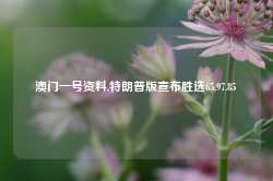 澳门一号资料,特朗普版宣布胜选65.97.85-第1张图片-健康网