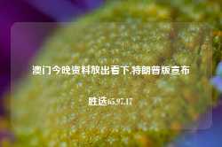 澳门今晚资料放出看下,特朗普版宣布胜选65.97.17-第1张图片-健康网