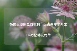 韩国反垄断监管机构：过去两年半开出1.16万亿韩元罚单-第1张图片-健康网