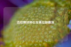 浩欧博特停引发高位股震荡-第1张图片-健康网