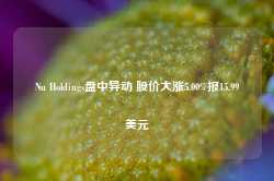 Nu Holdings盘中异动 股价大涨5.00%报15.99美元-第1张图片-健康网