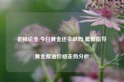 老杨论金:今日黄金还会跌吗 最新指导黄金原油价格走势分析-第1张图片-健康网