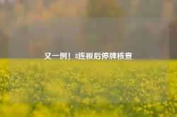 又一例！8连板后停牌核查-第1张图片-健康网