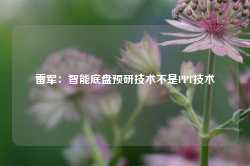 雷军：智能底盘预研技术不是PPT技术-第1张图片-健康网