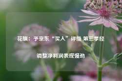 花旗：予京东“买入”评级 第三季经调整净利润表现强劲-第1张图片-健康网