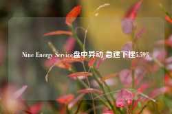 Nine Energy Service盘中异动 急速下挫5.59%-第1张图片-健康网